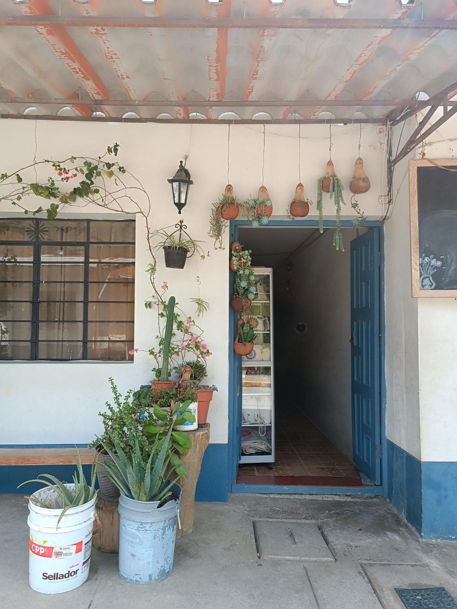 Hospedaje Quillabamba Santa Teresa  Ngoại thất bức ảnh